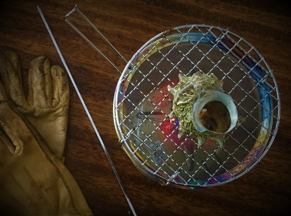 f:id:hajisummer:20190911180211j:plain