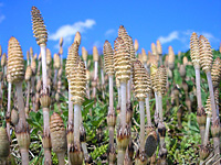 f:id:hak00810:20200417210215j:plain f:id:hak00810:20200417210215j:plain