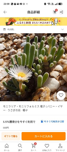 f:id:hak90200:20251223220240j:image