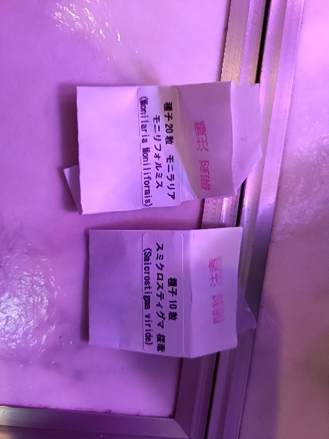 f:id:hak90200:20251224215035j:image