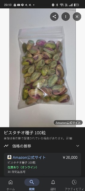 ピスタチオ🇮🇷発芽 - NEW PLANTS EXPERIMENTS
