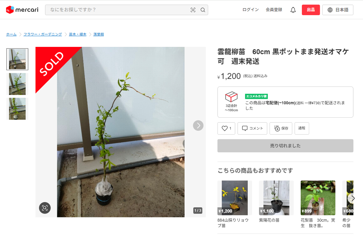 Coffee Break : 転売による著作権の侵害 - NEW PLANTS EXPERIMENTS