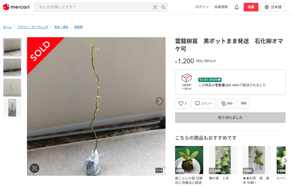 Coffee Break : 転売による著作権の侵害 - NEW PLANTS EXPERIMENTS