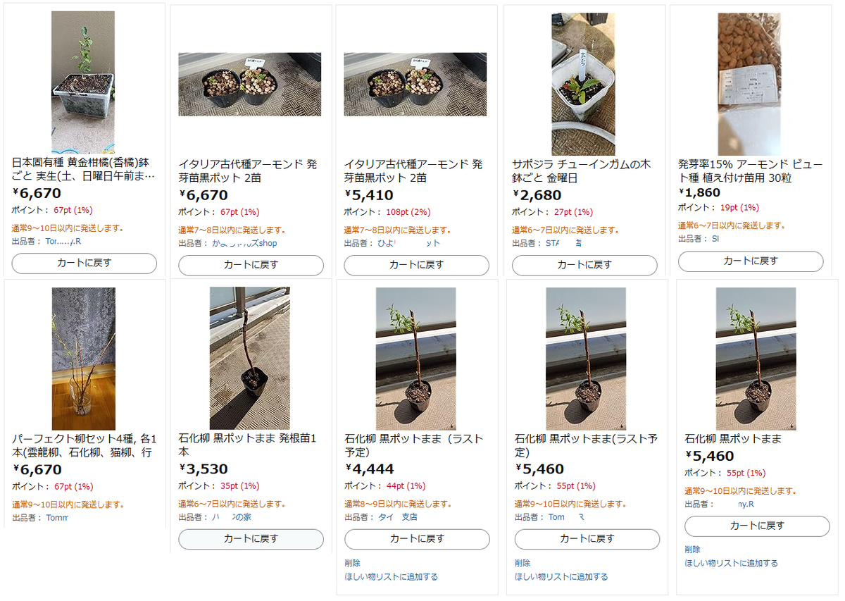 Coffee Break : Amazon著作権、写真無断使用の対応と詳細報告 - NEW