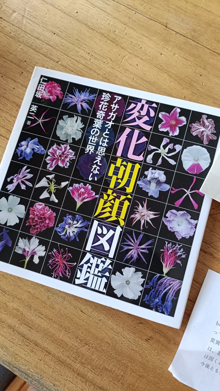 f:id:hak90200:20260726162615j:image