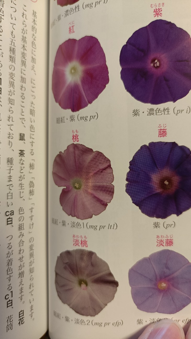 f:id:hak90200:20260813092531j:image