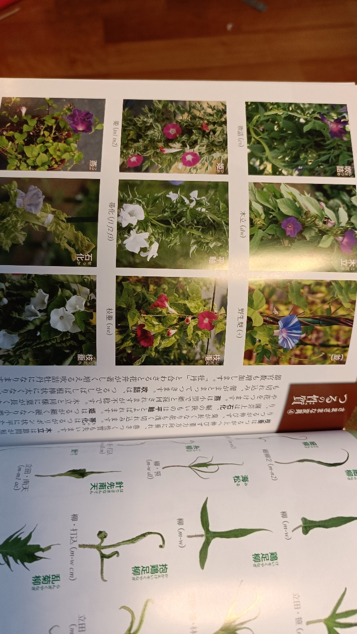 f:id:hak90200:20260813093310j:image