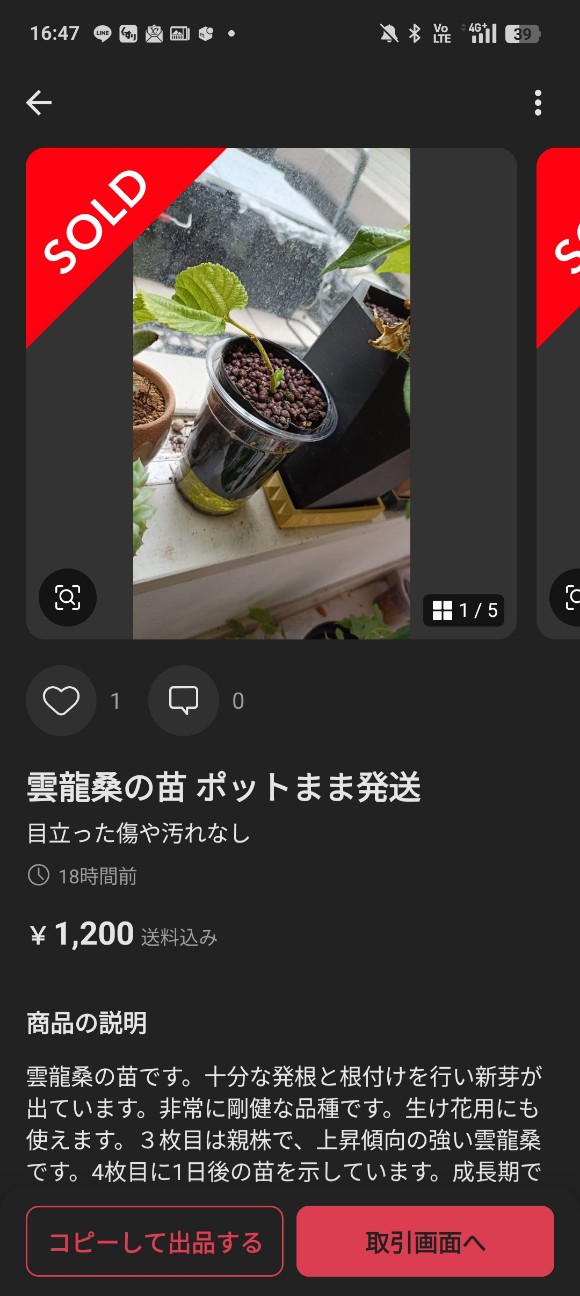 f:id:hak90200:20260814223743j:image