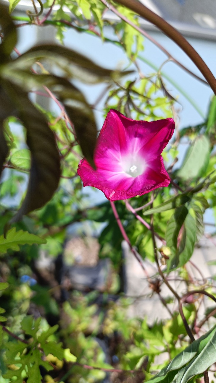f:id:hak90200:20260922115742j:image