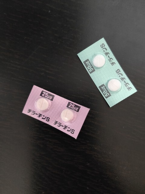 f:id:hakaiou20067:20201209183828j:plain