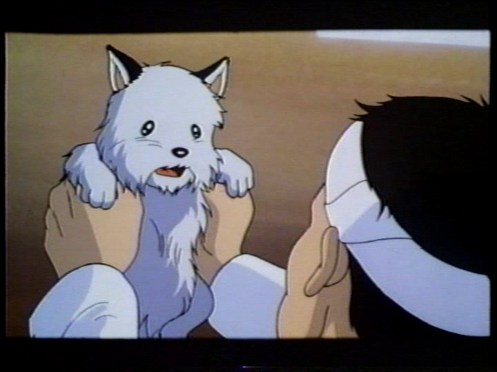 f:id:hakaiya:20200329140656p:plain