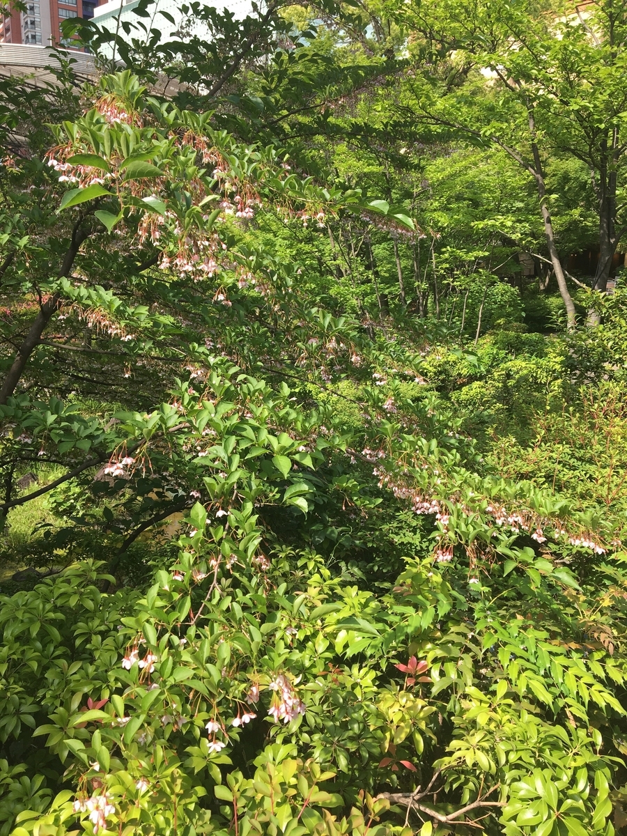 f:id:hakase0274:20190519221800j:plain f:id:hakase0274:20190519221800j:plain