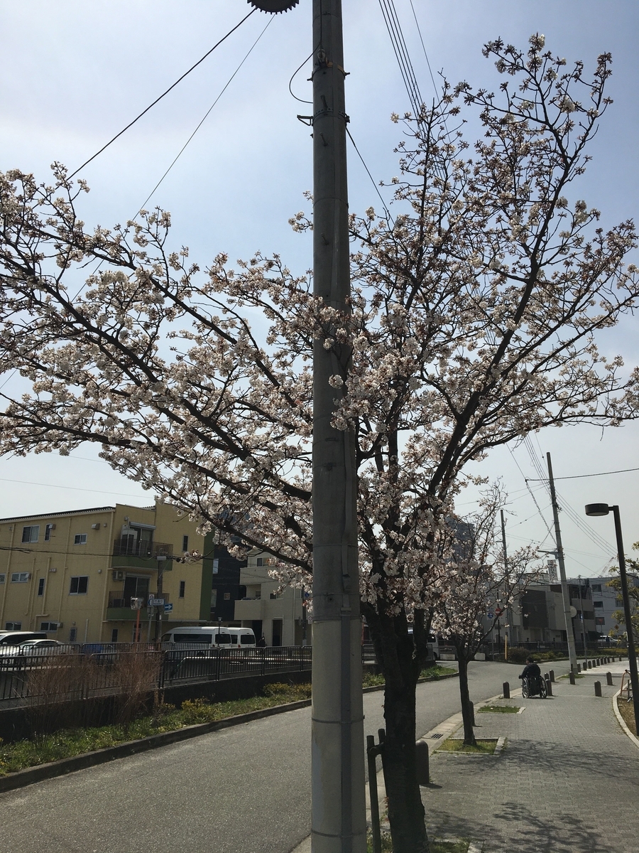 f:id:hakase0274:20200329143732j:plain f:id:hakase0274:20200329143732j:plain