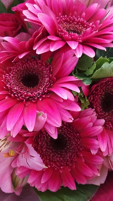 f:id:haken40:20170513124913j:plain f:id:haken40:20170513124913j:plain