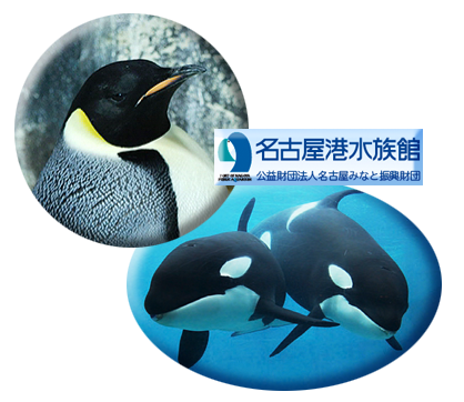 フォルステリさん ペンギンのマンガ いとしのオーロラ