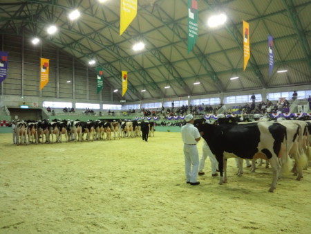 f:id:hakkou-hidaka:20150919132456j:image:w360:right