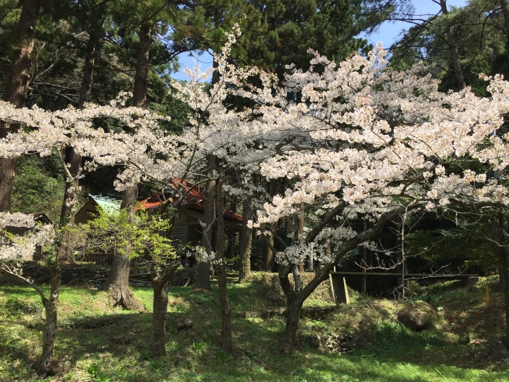 f:id:hakobunelocal:20180511095353j:plain f:id:hakobunelocal:20180511095353j:plain