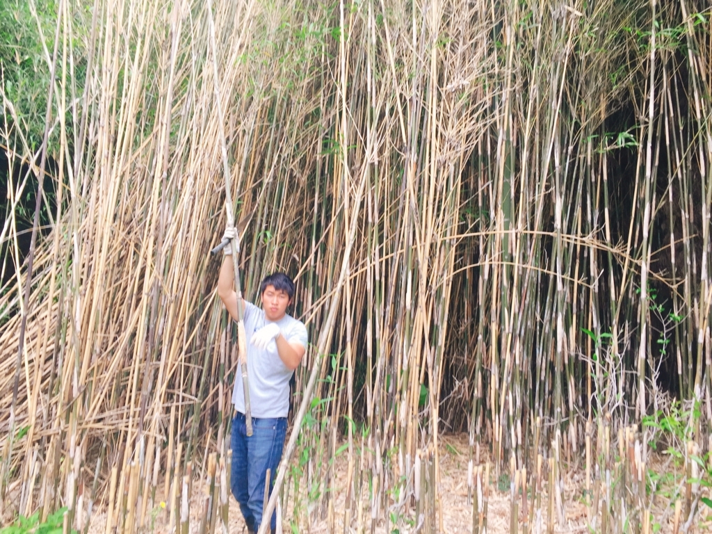 f:id:hakobunelocal:20180629133722j:plain f:id:hakobunelocal:20180629133722j:plain