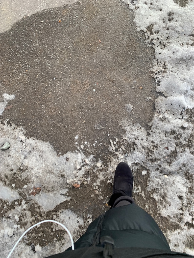 f:id:hakod:20210306181802j:image