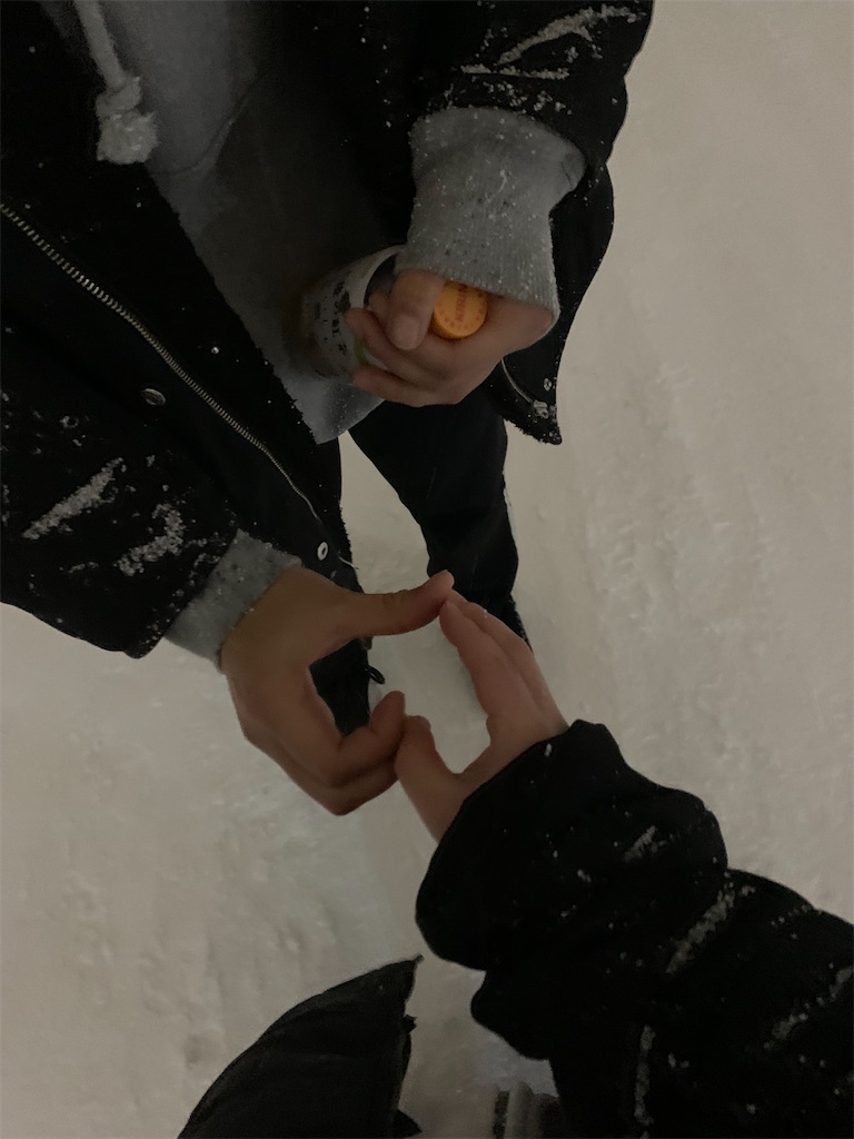 f:id:hakod:20221217202435j:image