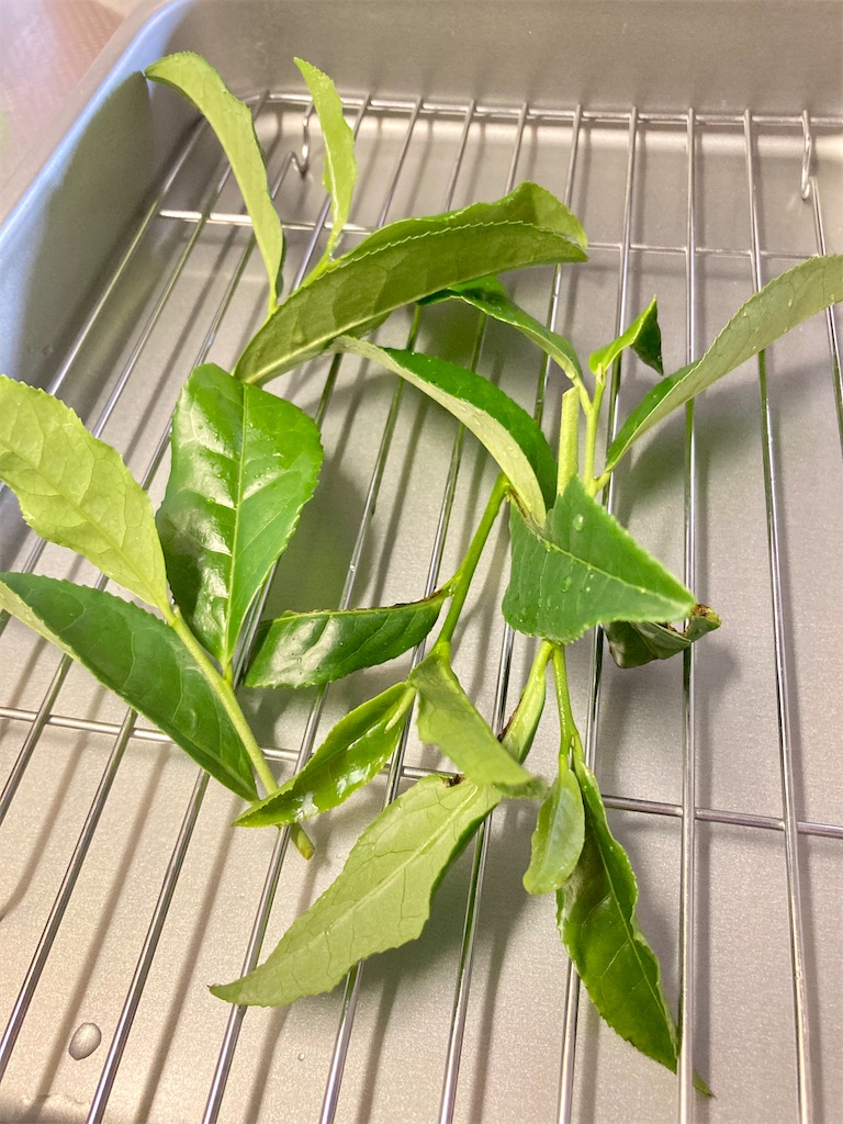 f:id:hakodate-glay-trip:20210924094745j:plain