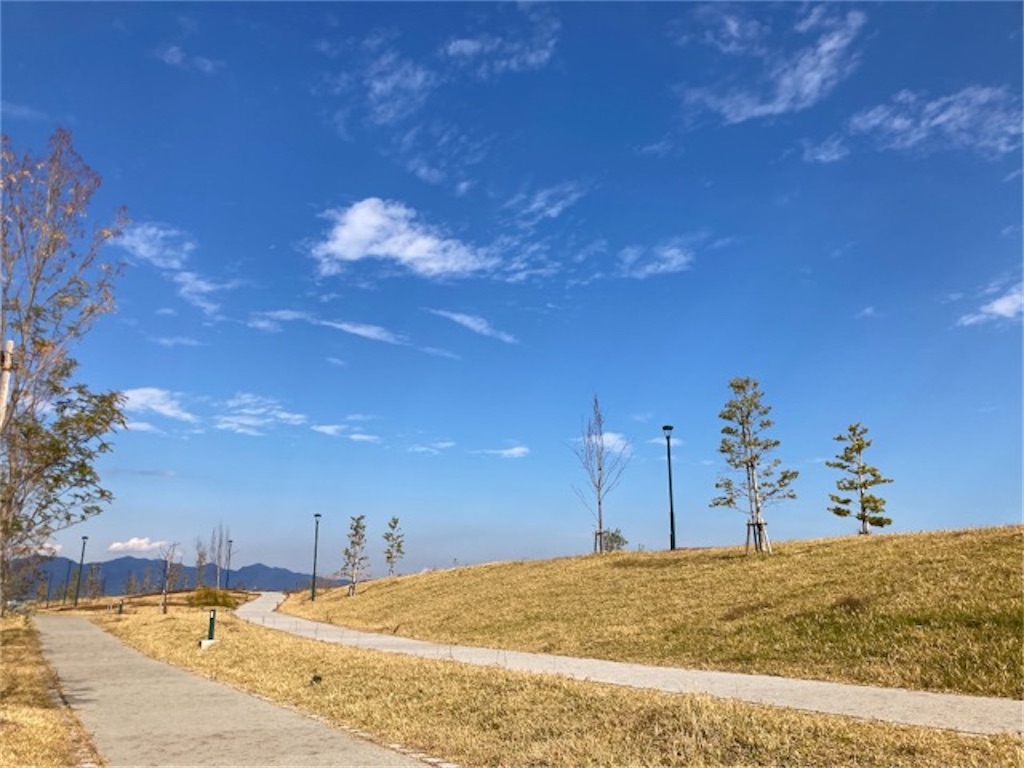 大分県別府市 別府駅から徒歩10分 隠れた絶景スポット「的ヶ浜公園」