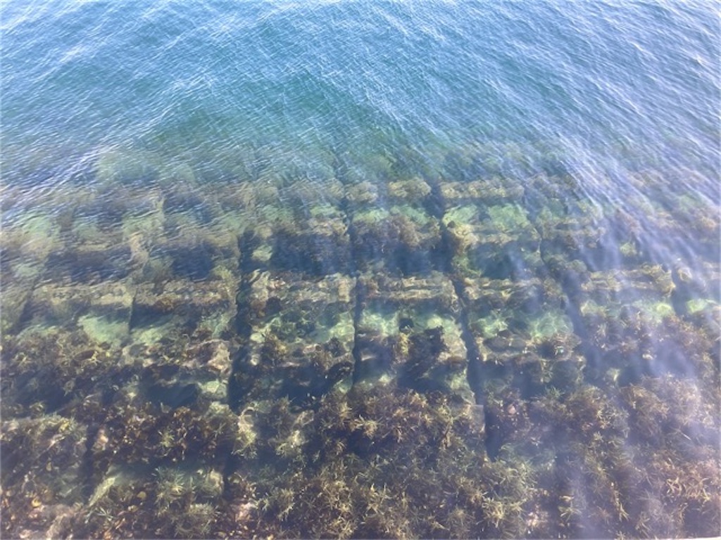 的ヶ浜公園から眺める別府湾 海が透き通っている