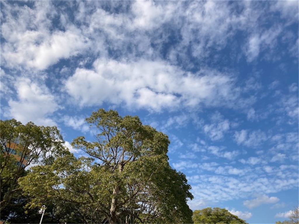 大分県別府市「的ヶ浜公園」青と緑の鮮やかなコントラスト