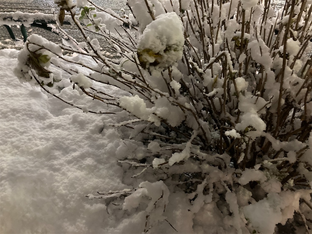 積雪の東京