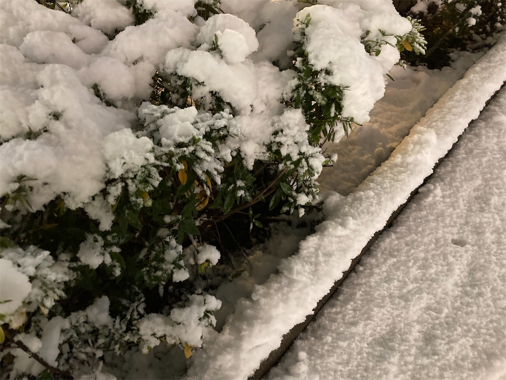 積雪の東京