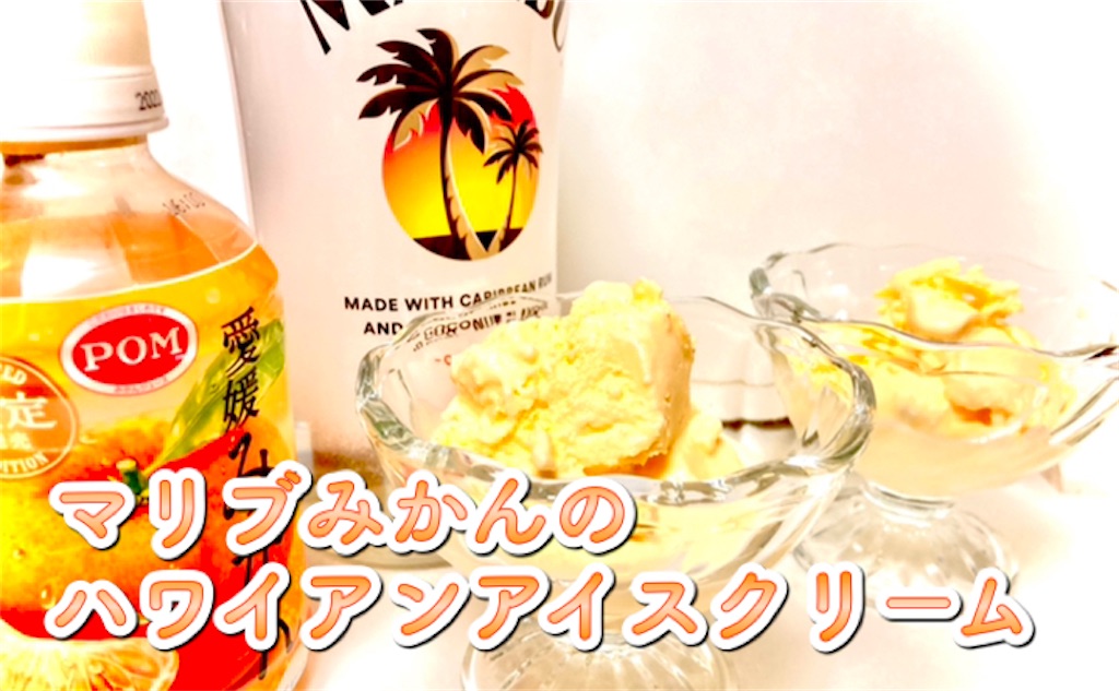 f:id:hakodate-glay-trip:20220206141132j:plain