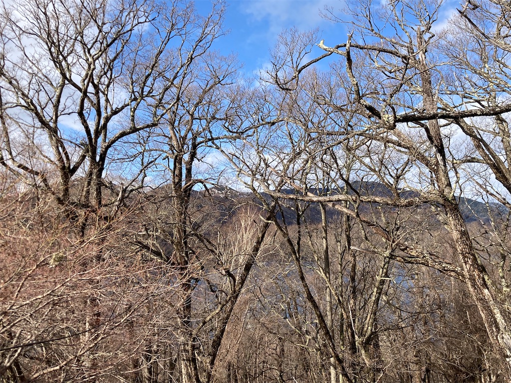 奥日光ホテル四季彩の窓からの景色（4月）