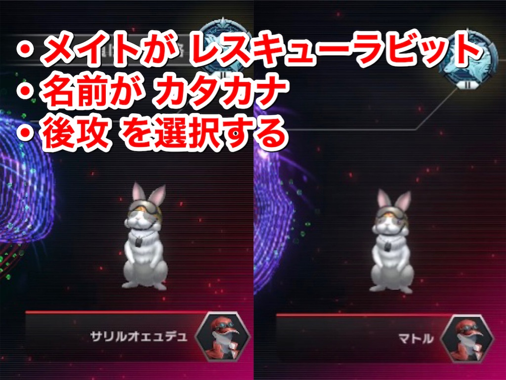 後攻を選択、メイトがレスキューラビット、名前がカタカナ