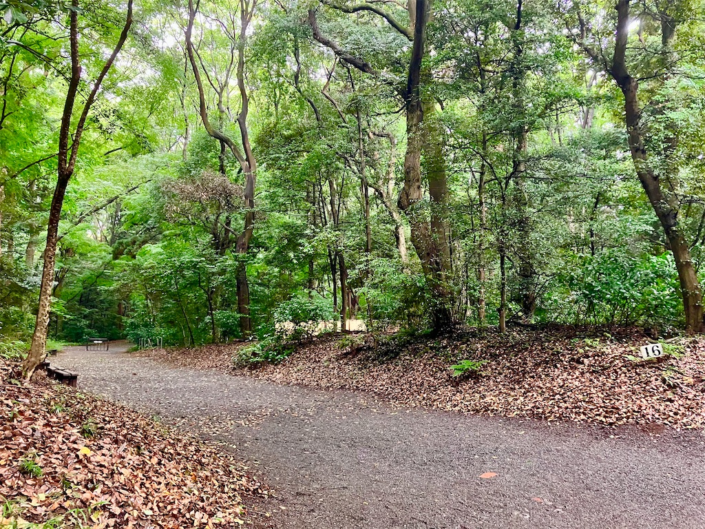 明治神宮の風景