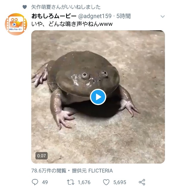 f:id:hakoiritomato:20191008014942j:image
