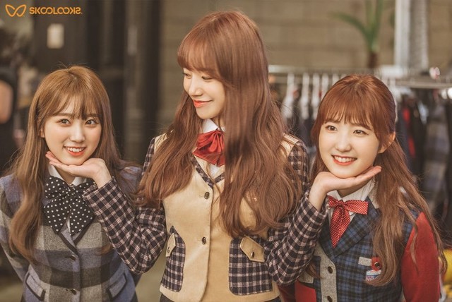 f:id:hakoiritomato:20191024125249j:image