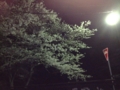 f:id:hakomaru_kai:20120408022240j:image:medium