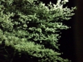 f:id:hakomaru_kai:20120408023127j:image:medium
