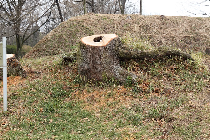 f:id:hakonegasaki523:20210124195216j:plain