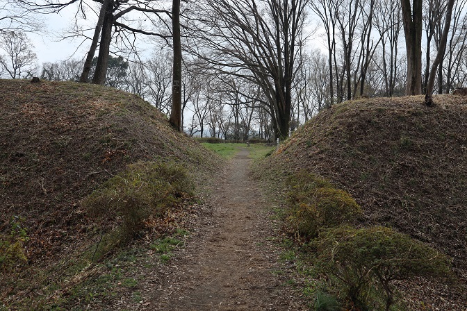 f:id:hakonegasaki523:20210124195423j:plain