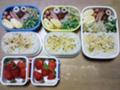 08/04/08のお弁当