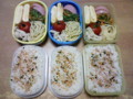 2008/09/01のお弁当