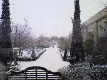 f:id:hakthakt:20090110111600j:image