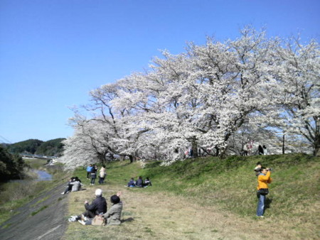 f:id:hakthakt:20090330152800j:image