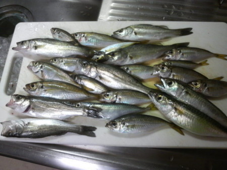 f:id:hakthakt:20090815172900j:image