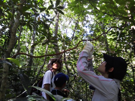 f:id:hakthakt:20110819101700j:image
