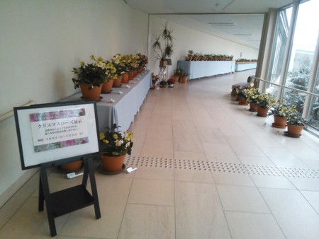 f:id:hakthakt:20130208223737j:image f:id:hakthakt:20130208223737j:image