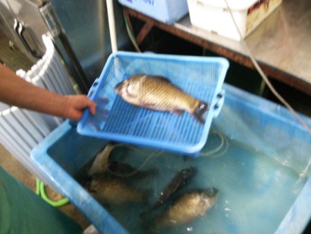 f:id:hakthakt:20140118174303j:image f:id:hakthakt:20140118174303j:image