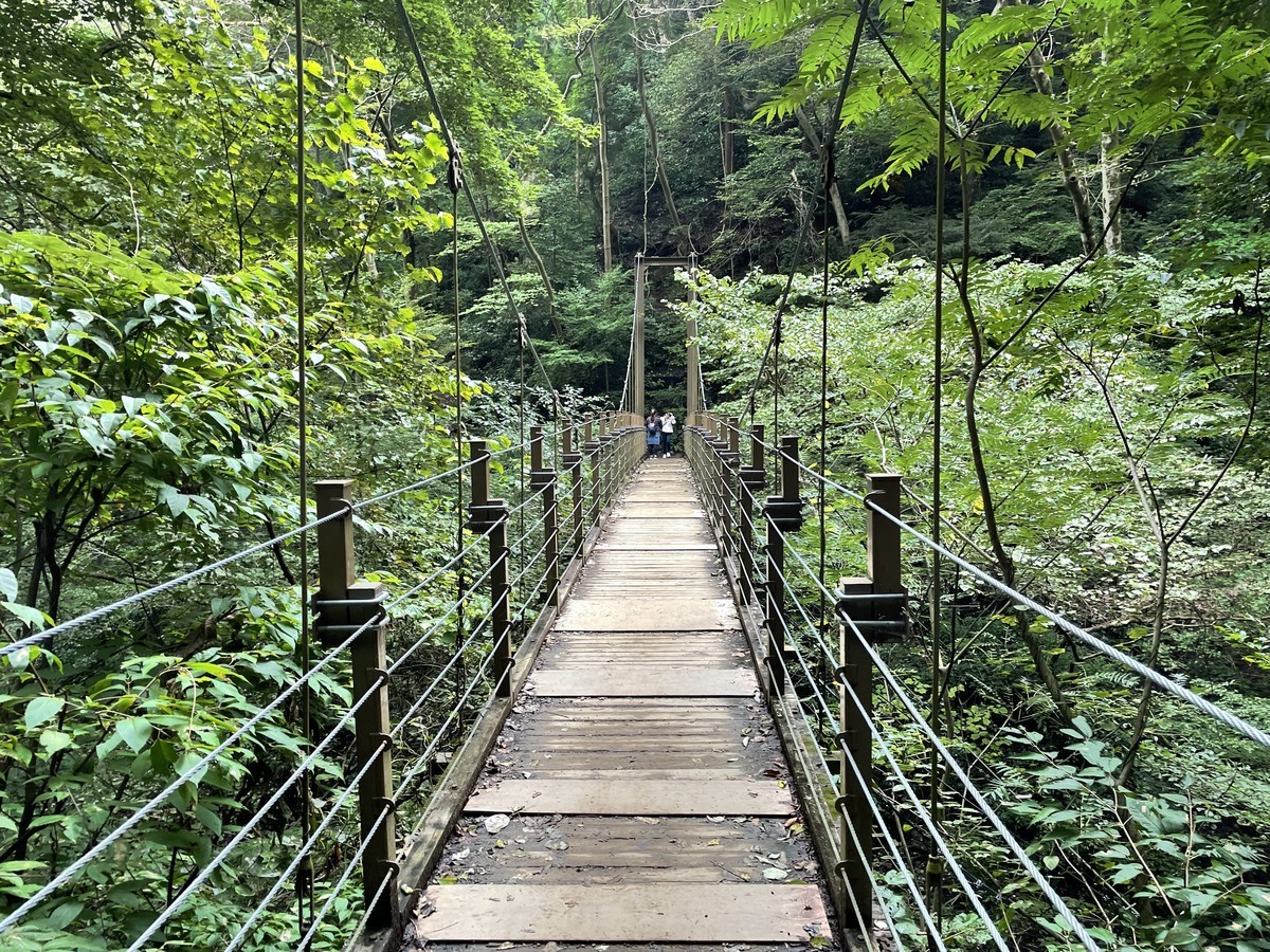 f:id:hakthakt:20211016095034j:plain