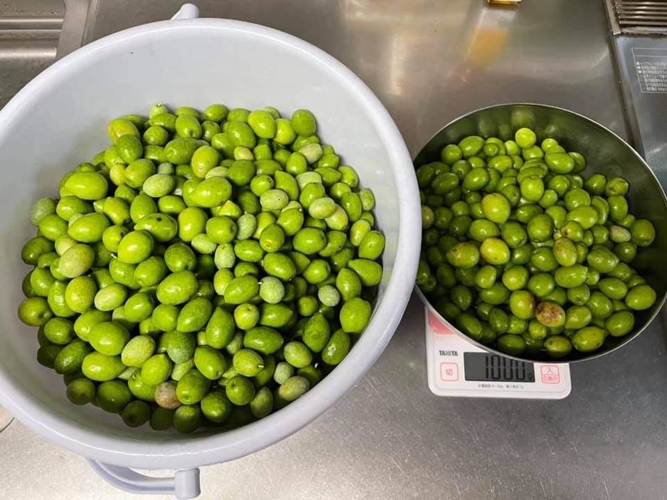 f:id:hakthakt:20211110173553j:plain